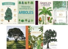 libros sobre arboles